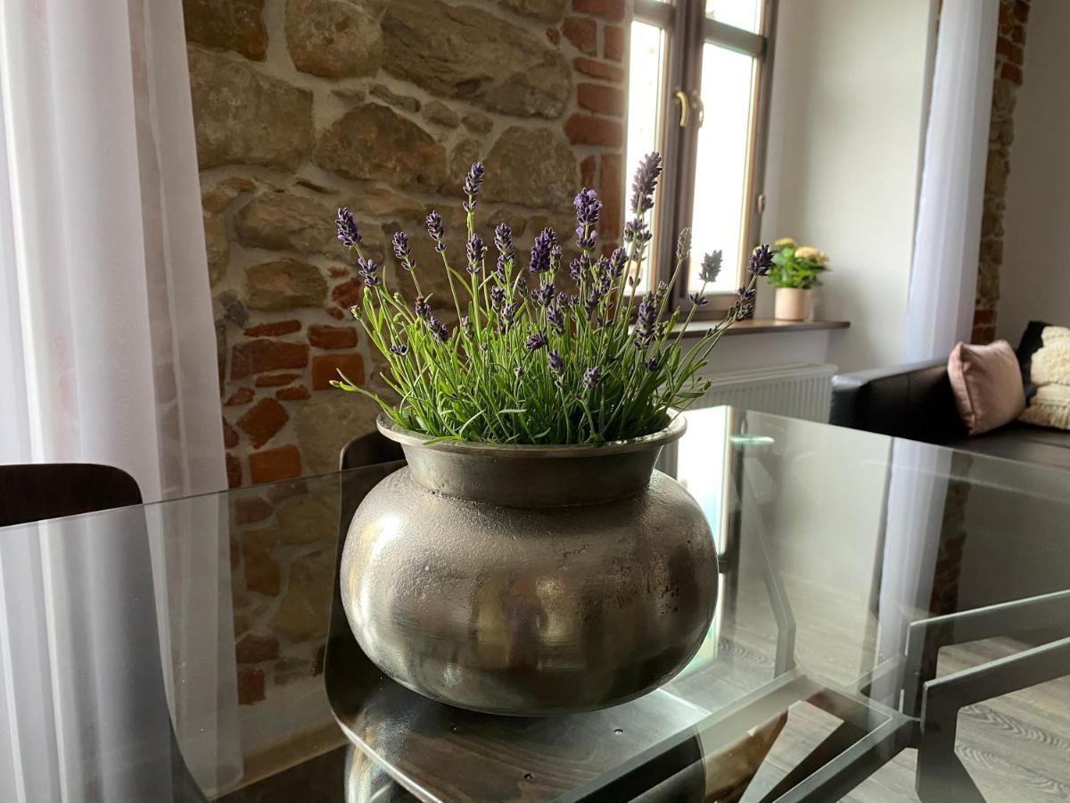 Apartament Przy Ratuszu Kłodzko Extérieur photo